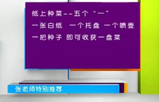 纸上种菜可以种向日葵吗,种菜小窍门两张纸就搞定