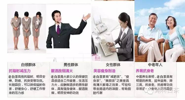 白茶的美句,白茶那么好你真的懂吗