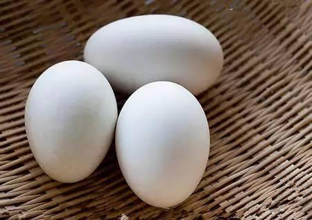 用鸡蛋壳这样养花1年不用施肥,鸡蛋壳别再扔了这样做比肉还好吃