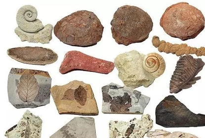 奇石的造假手段,奇石造假全过程