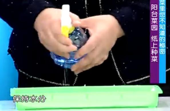 最新纸上适合家庭种菜的方法,纸上种菜方法