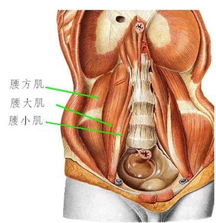 呼啦圈到底有没有减肥效果？