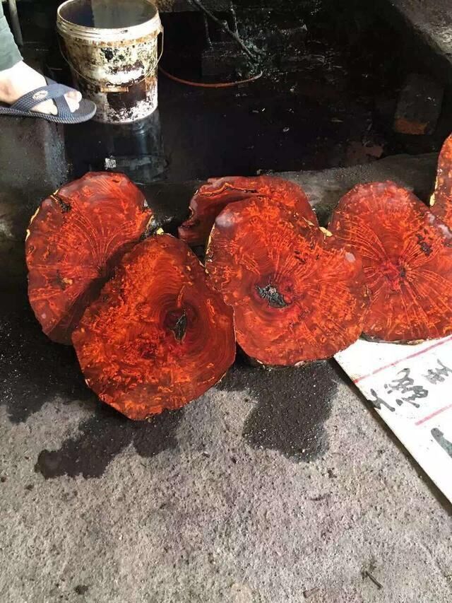 印度小叶紫檀一鸣惊人纯手工 (印度小叶紫檀木料购买)