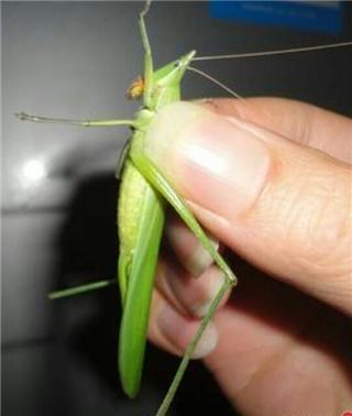 80后儿时的美食记忆,80后记忆中的美味零食你吃过几种