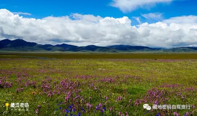 四川川藏环线去稻城亚丁,川藏之旅稻城亚丁