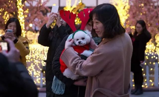 你也想过圣诞节吗,美国今天过圣诞节吗