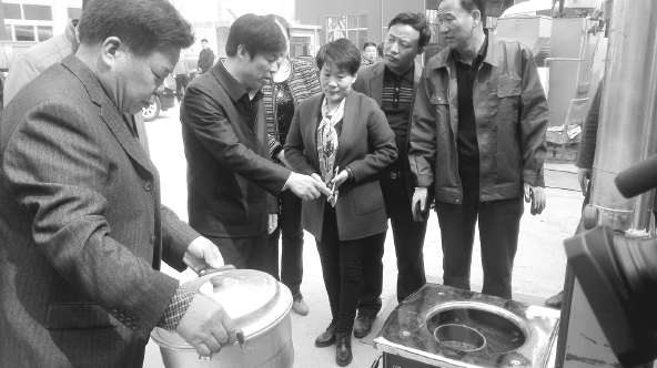 齐昊环保水暖炉,齐昊洁净煤采暖炉