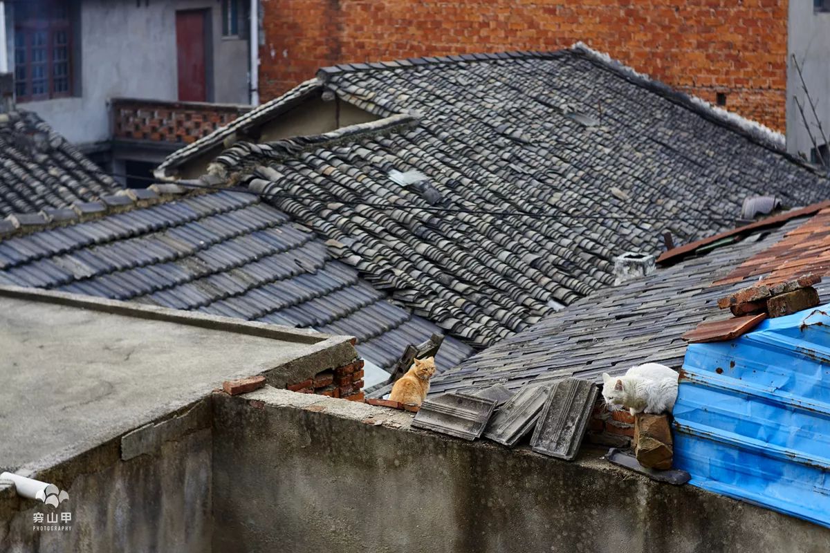 无锡千年古村尧歌里火了,无锡古村尧歌里在哪里