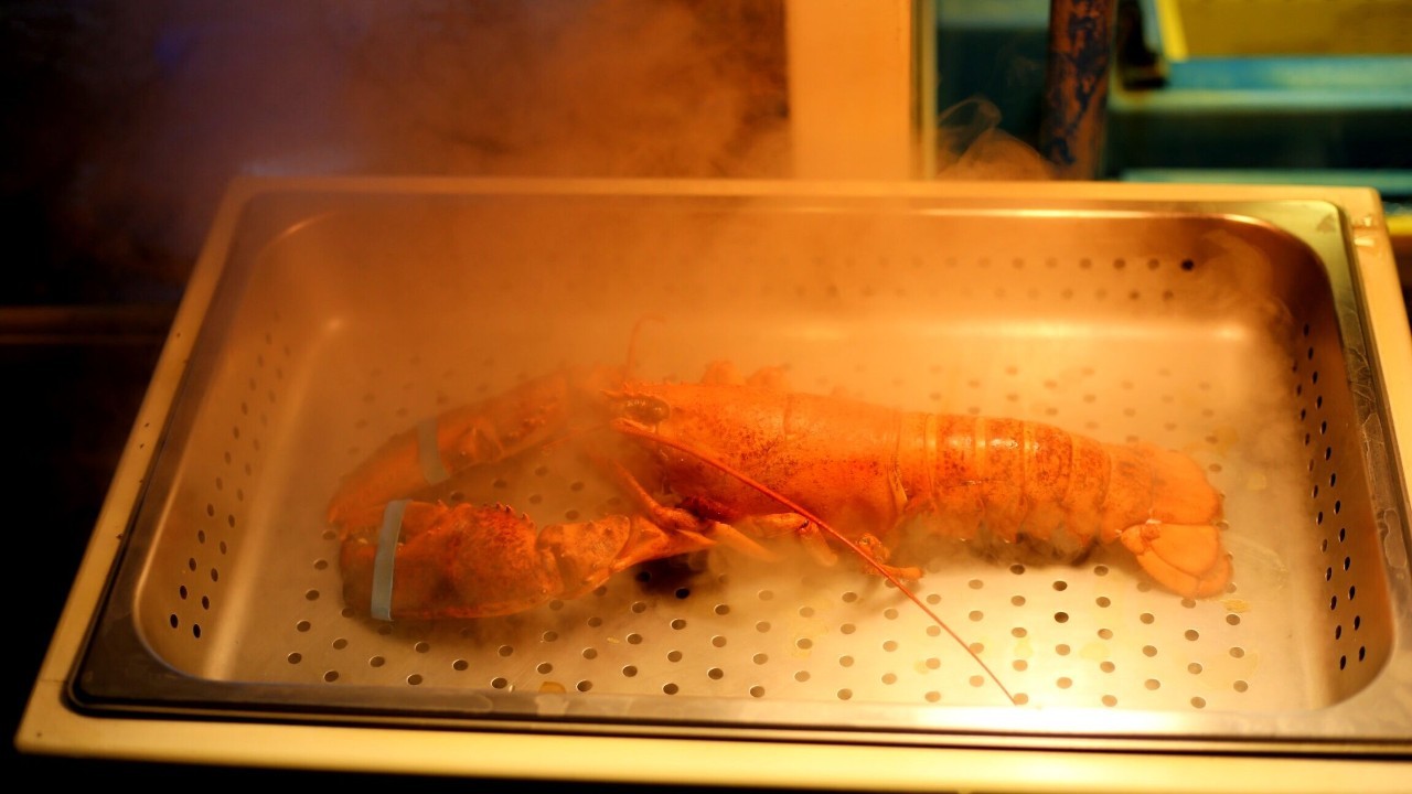 全过程记录,揭秘廉价济州岛跟团游背后的真相