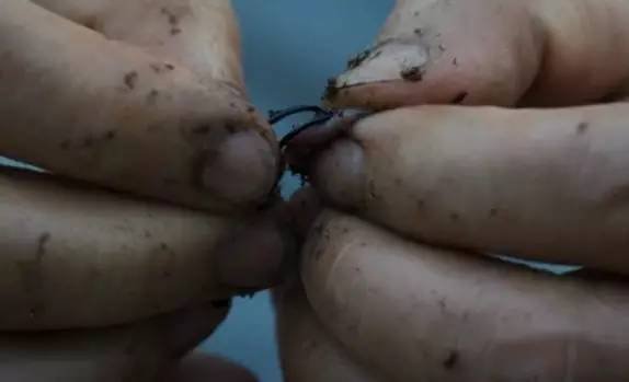 今年最值得期待的韩国犯罪片郭道元陷迷局惊悚升级