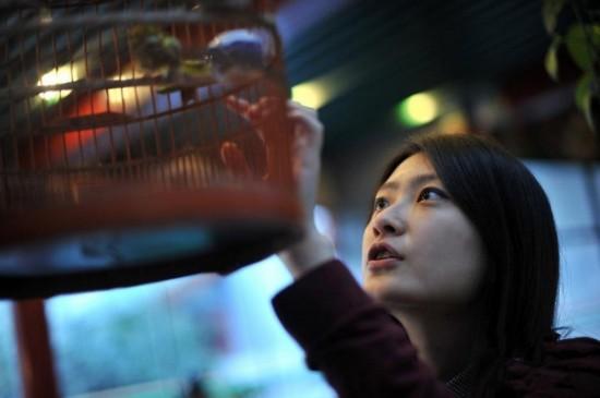 酒店试睡员和网络鉴黄师,酒店试睡员最舒服的工作