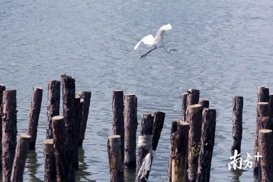 深圳新出好玩的地方,深圳市哪些公园比较值得去