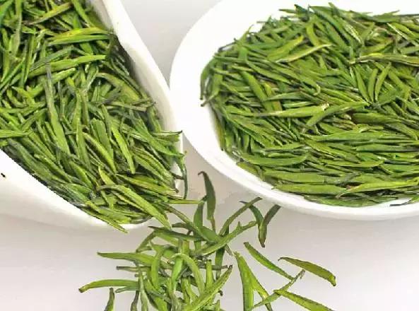 浙江适合旅居的地方,浙江宜居之地