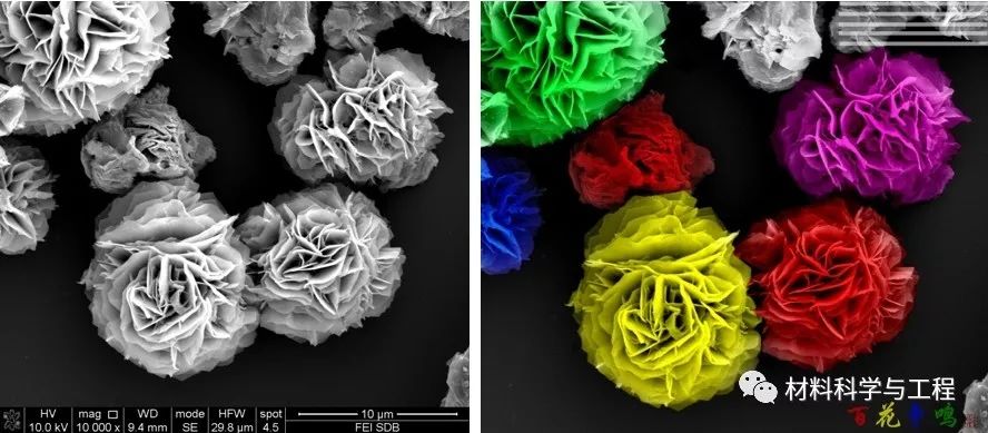 投票表决素材模板,投票素材图片图文