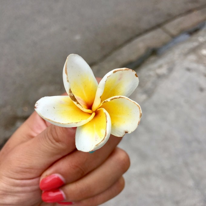 一个人越南攻略,一个人越南自驾游纪录片