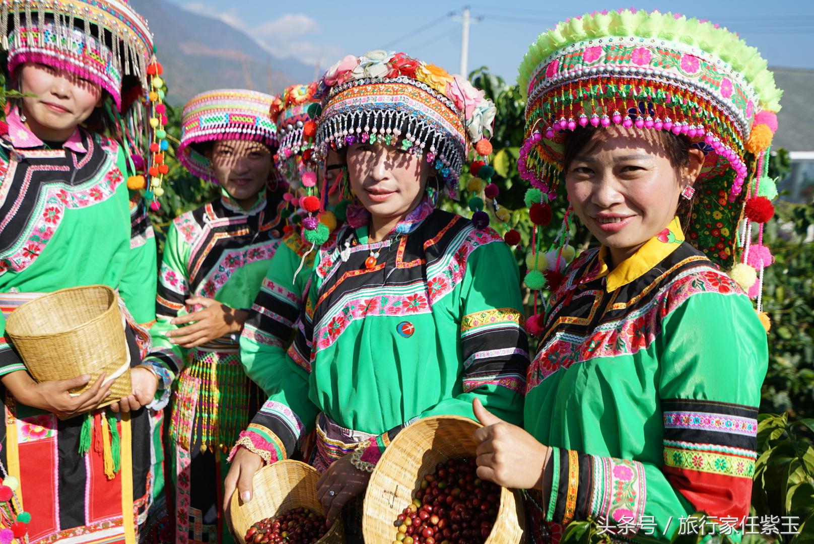 猫屎咖啡和普通咖啡有什么区别呢,猫屎咖啡和云南小粒咖啡哪个好