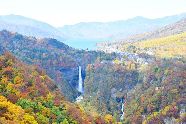 日本jrpass关西周游卡怎么买,上海售全日本jrpass21天周游券