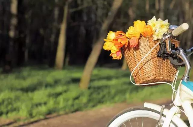 徒步四小时上山看雾凇,这个元旦去哪看雪