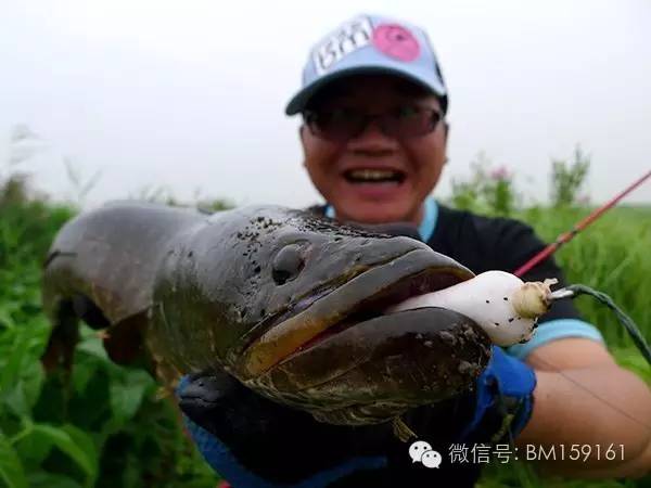 经典教学雷强装备篇之雷蛙系列,雷强雷蛙绑法