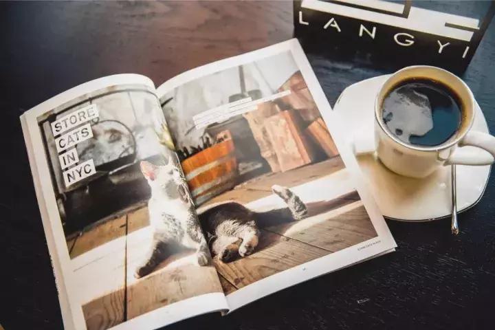 颜值爆表的几处玻璃花房,承载了姑娘们所有的“花房梦”!