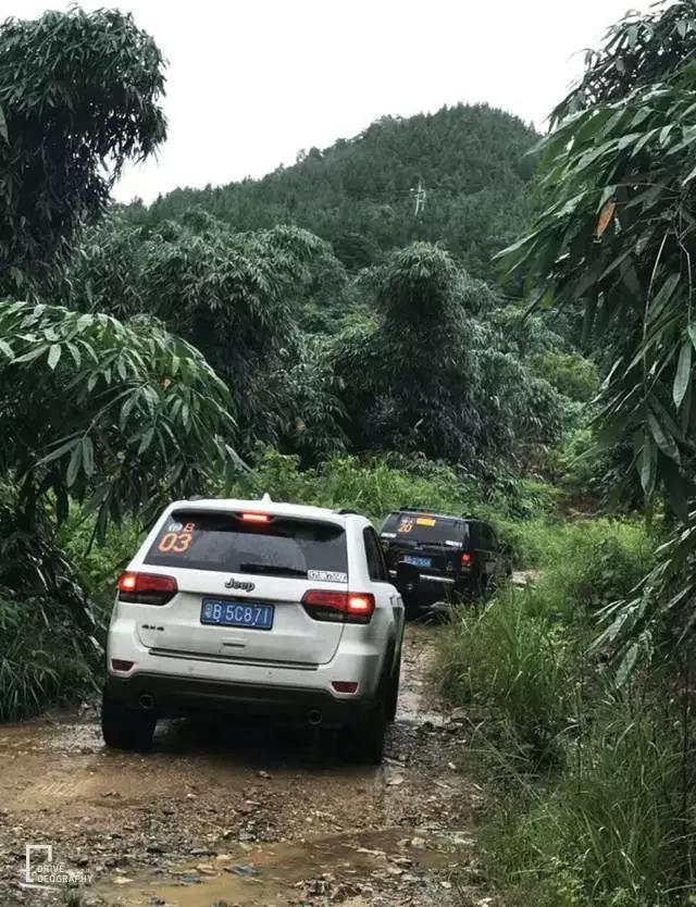 元旦最适合旅行的地方,元旦带家人去哪里玩好