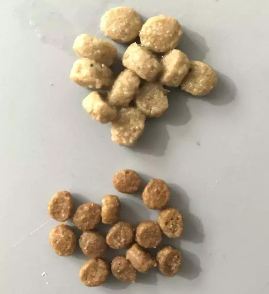 成年猫粮福摩,福摩绿猫粮