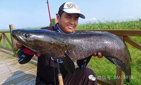 闆疯洐瑁呭閫夋嫨,缁忓吀鏁欏闆峰己瑁呭绡囦箣闆疯洐绯诲垪