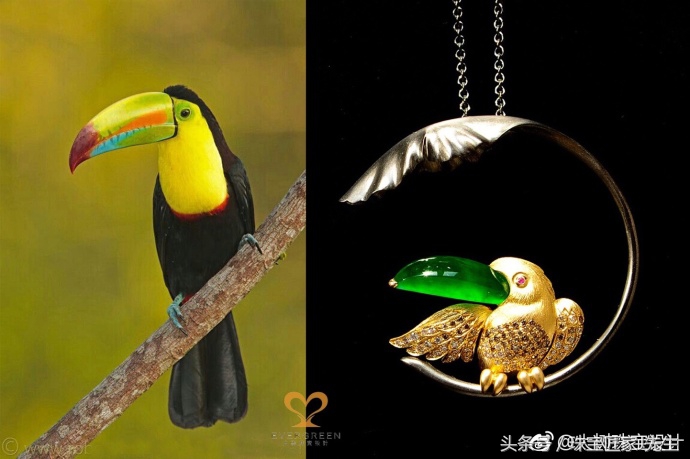 最不值得买的金镶玉,为什么建议大家不要买金镶玉