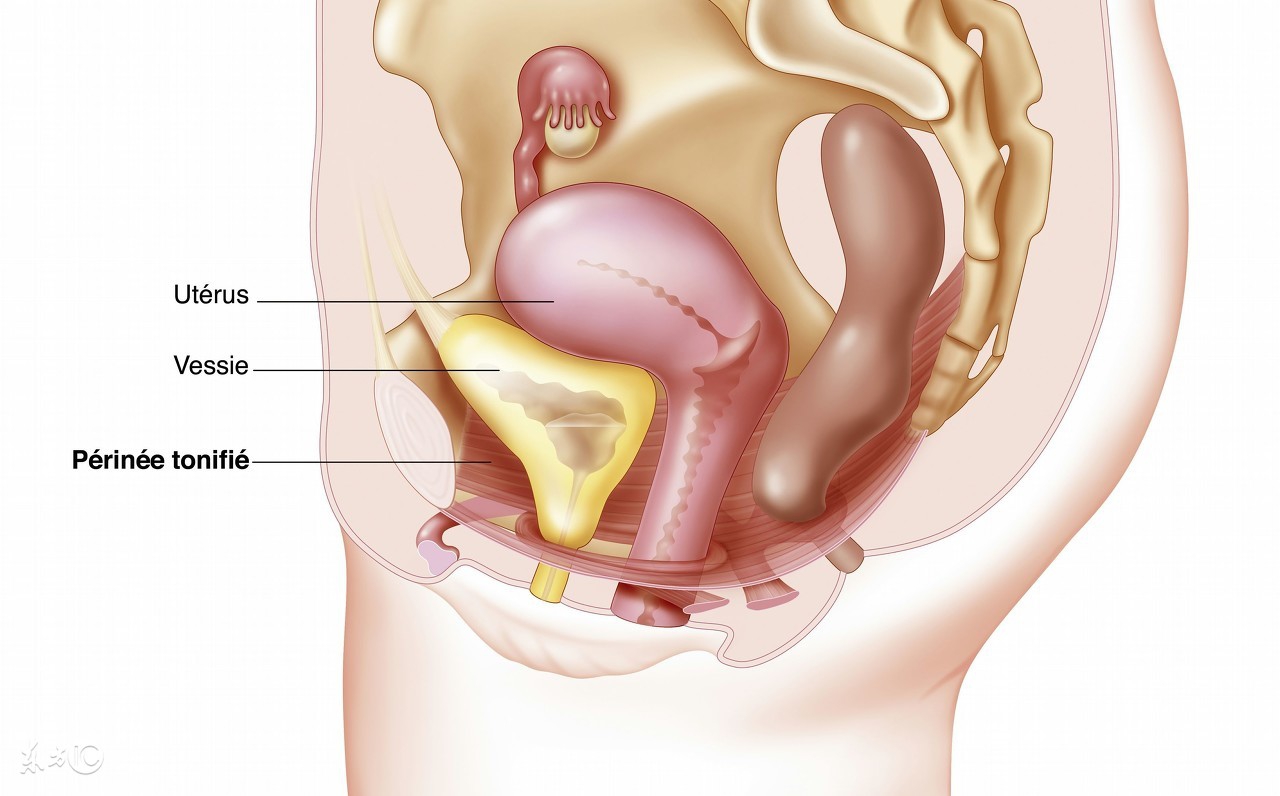 产后不排尿插排尿管疼痛,缓解产后排尿困难的5大技巧
