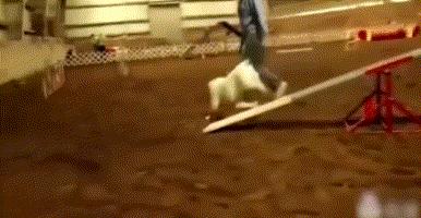 英斗劝退指南,英斗尴尬期和爆头期