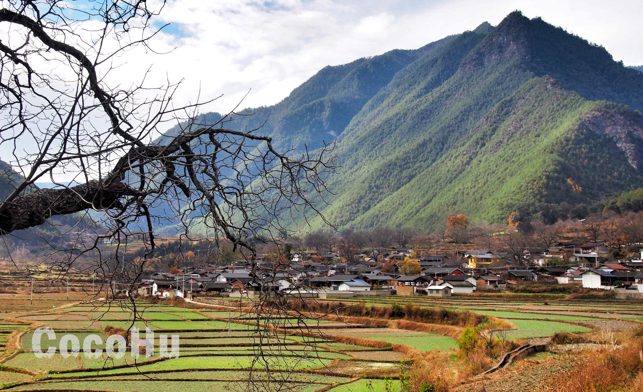 欢歌热舞美食美酒亲历云南维西丰收节