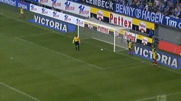 世界门将的脚法,守门员任意球大师