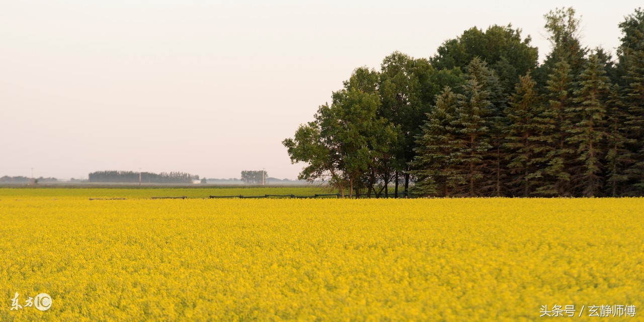 生肖马和蛇的婚姻配对,生肖马和生肖蛇的婚姻