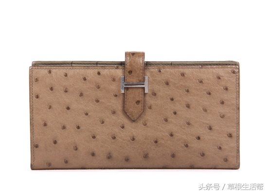 养殖“大笨鸟”，敲开致富门，80后回老家创业成为新一代农场主