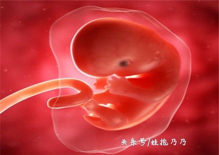 b超检查没有胎动但是胎心正常,b超查不到胎心胎芽还有希望吗