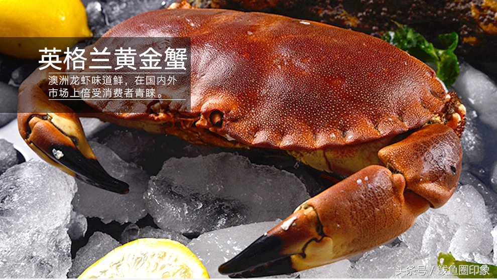 为什么海鲜礼盒那么便宜,海鲜市场海鲜礼盒