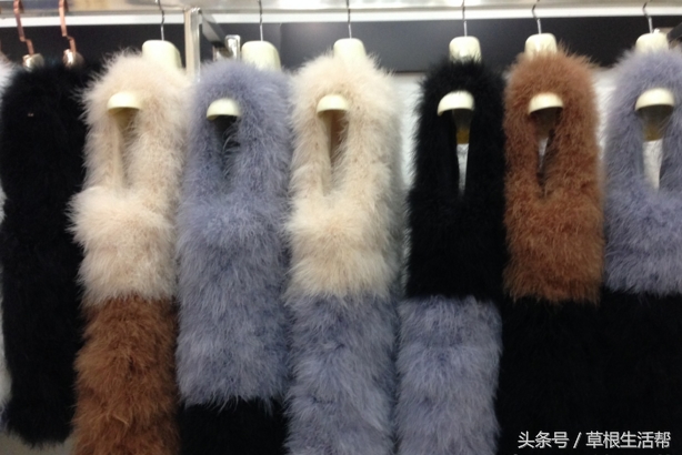 养殖“大笨鸟”，敲开致富门，80后回老家创业成为新一代农场主