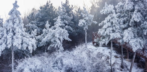 中原区有雪吗,中原雪乡在哪里
