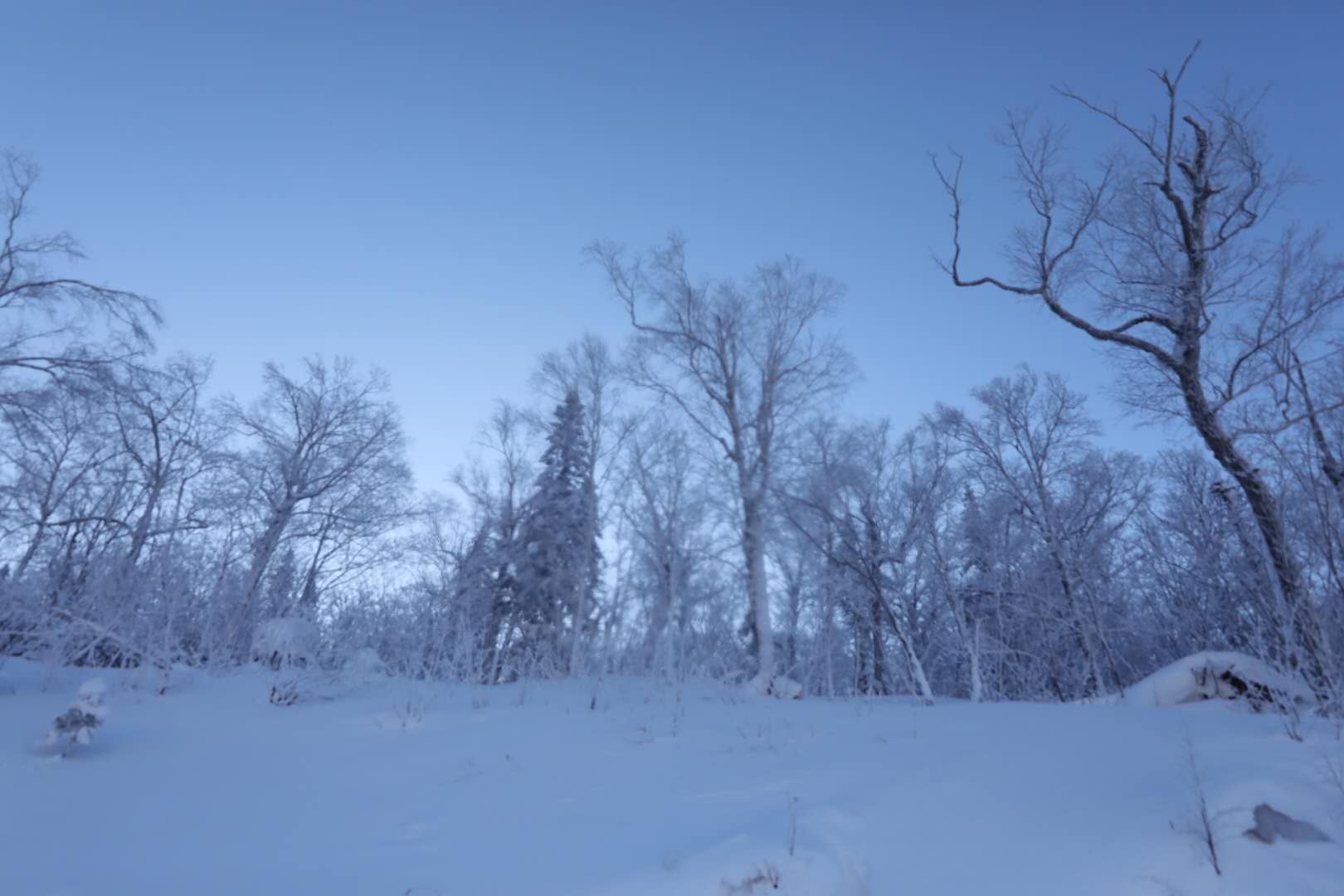 辽宁朝阳凤凰山传说,大凤凰山在哪里
