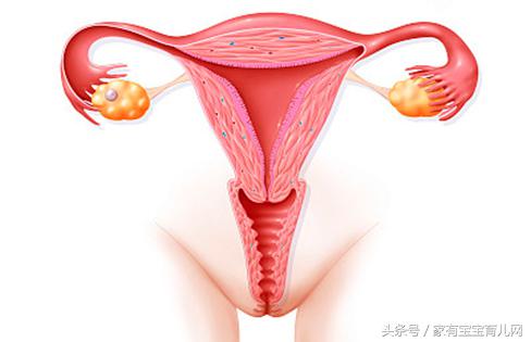 顺产妈妈的痛,顺产妈妈的烦恼