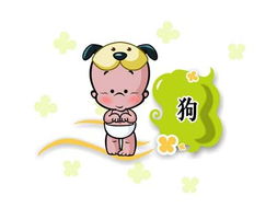 十二生肖属狗人今年的运气,十二生肖狗2018