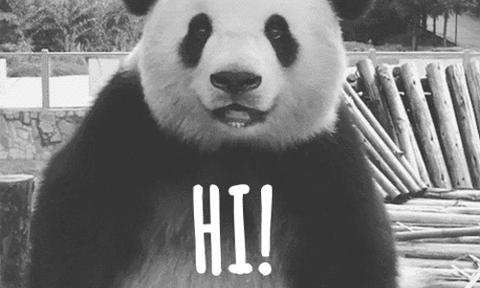 老沈阳，咱们聊聊大东区的“故事”，先从八王寺汽水、105雪糕说