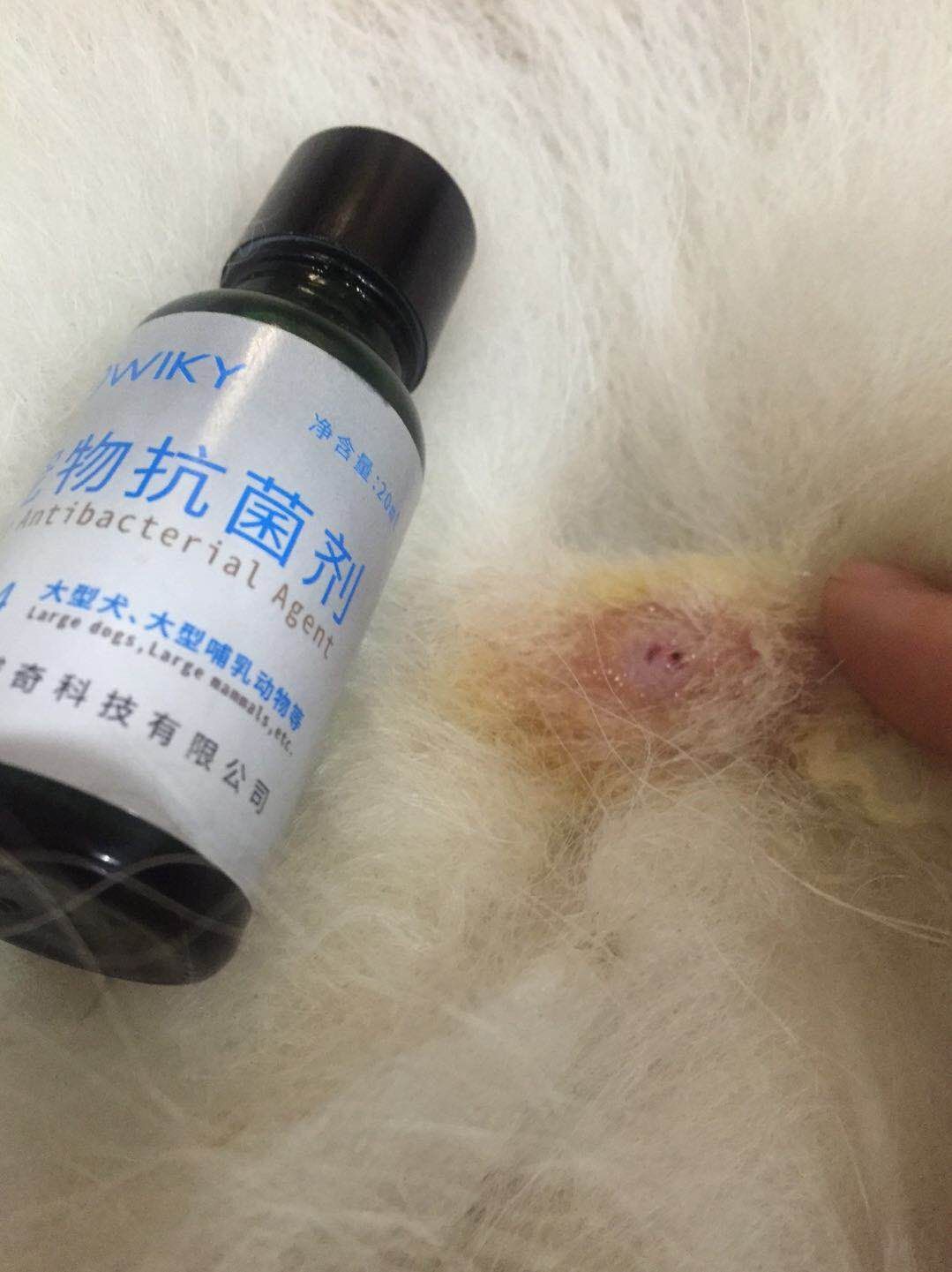 宠物抗菌喷剂的作用,宠物广谱的抗菌喷剂