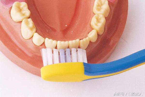 婴儿开始长乳牙该如何护理口腔,宝宝长恒牙怎么护理