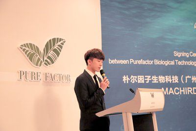 网红自创品牌,网红国货美妆品牌有哪些