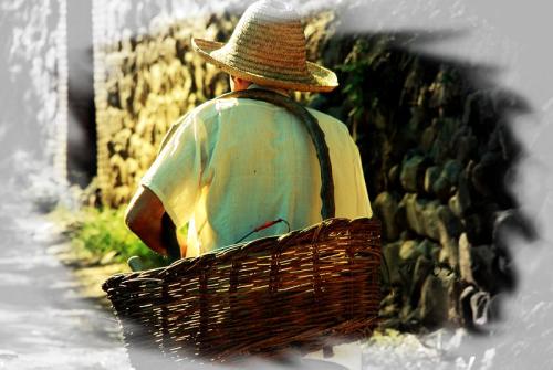 父亲晚年的三次决策