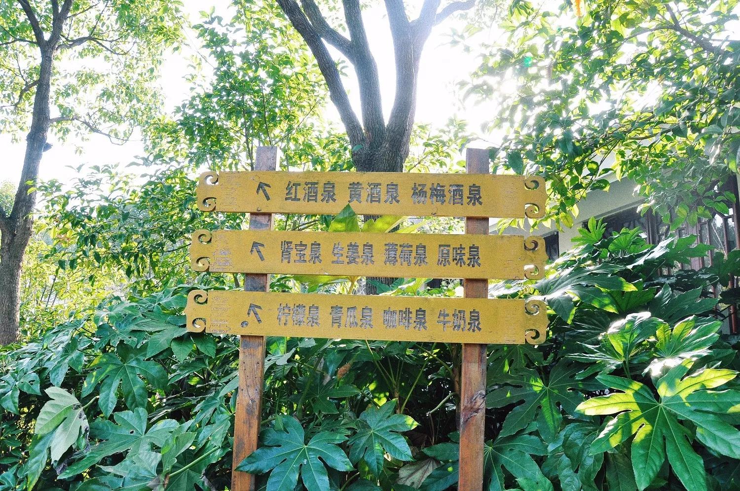 余姚阳明山温泉附近旅游攻略,余姚阳明山温泉位置图