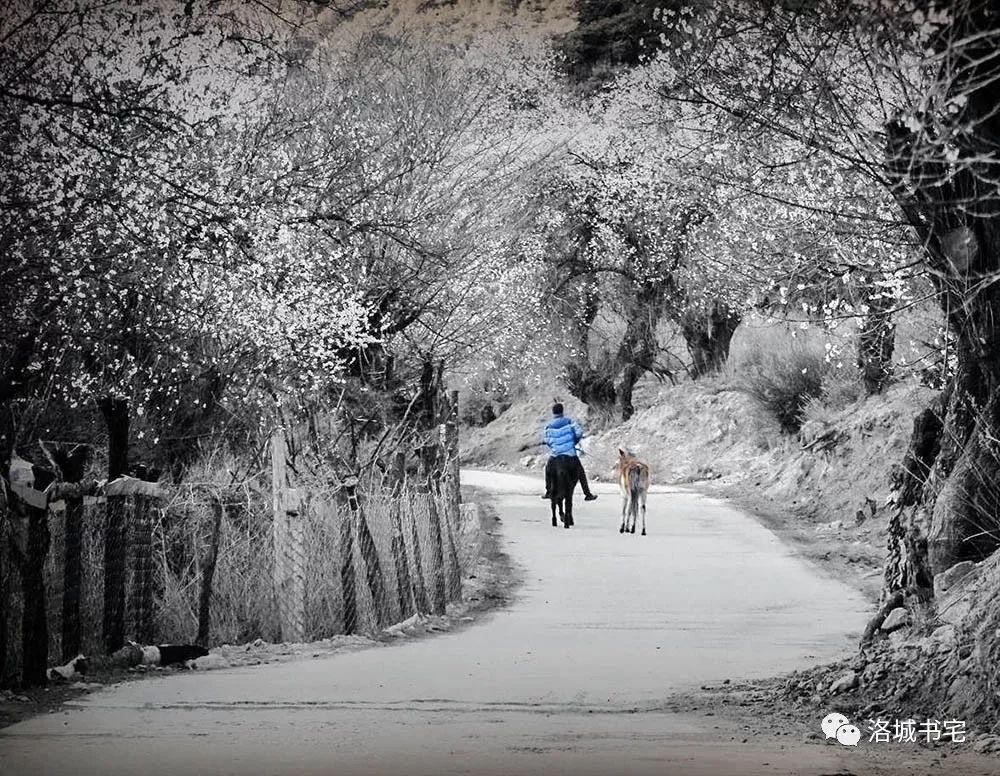 想在家里多待几天,想在家待着的想法