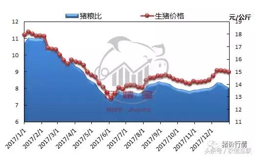 猪业的现状与发展趋势,猪业最新消息