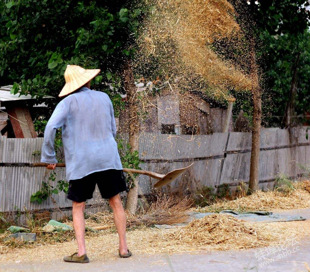 父亲晚年的三次决策